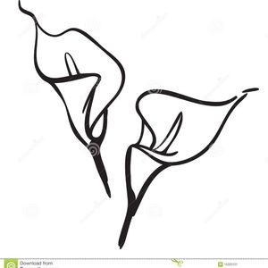 Meet your Posher, Aimee